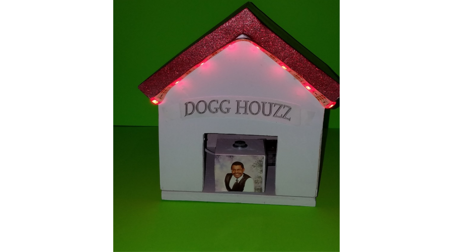 Dogg Houzz